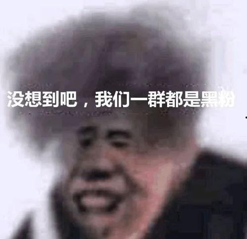 最新爆料坤坤表情包图片,萌态十足引网友热议
