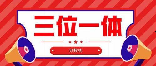 三一学生最新爆料新闻,揭秘校园事件背后真相！”