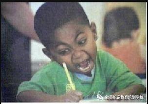 旭东最新爆料,揭秘娱乐圈最新动态与幕后真相